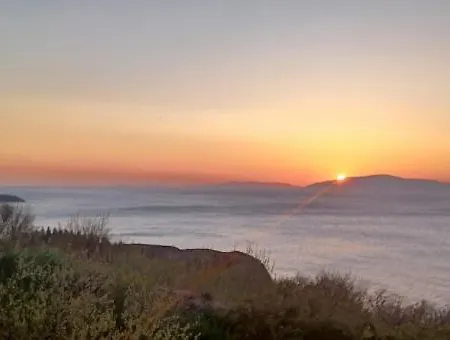 Teach Beag, Gortaforia, Kells, V23 N978